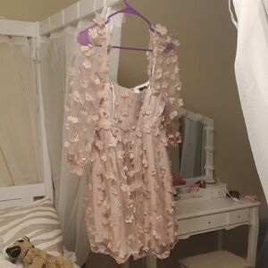Windsor Blush Baby Doll Dress with 3D Floral Accents. Size Small. Brand New